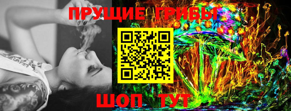 Псилоцибиновые грибы Psilocybine cubensis Пенза