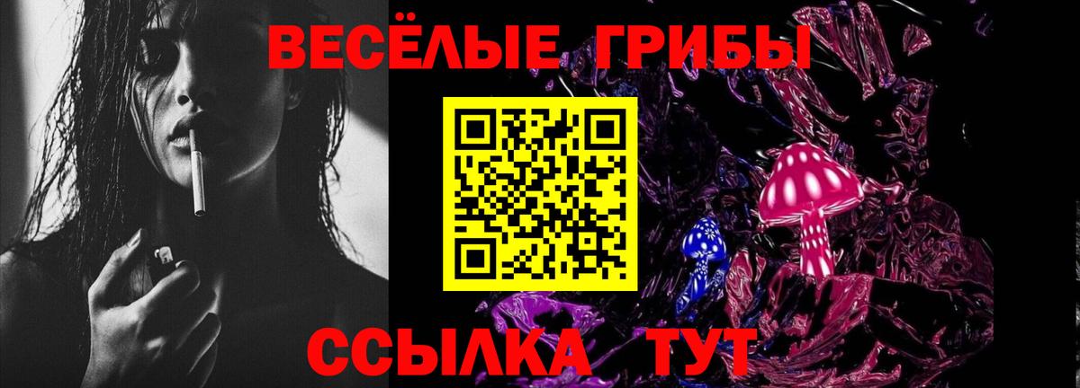 Пенза  Псилоцибиновые грибы Psilocybe  Псилоцибиновые грибы мухоморы  Вход с VPN 